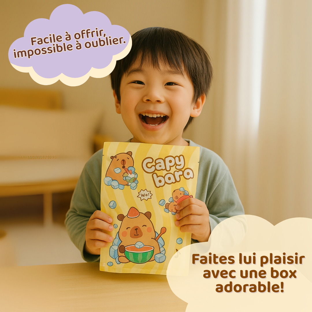 CapyBox - La première boîte mystère Kawaii 100% Capybara