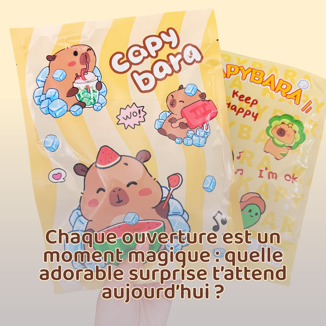 CapyBox - La première boîte mystère Kawaii 100% Capybara