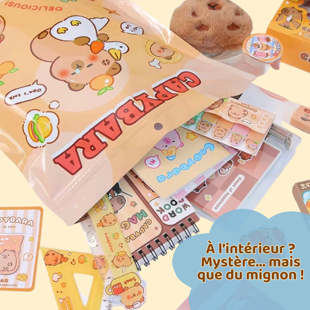 CapyBox - La première boîte mystère Kawaii 100% Capybara
