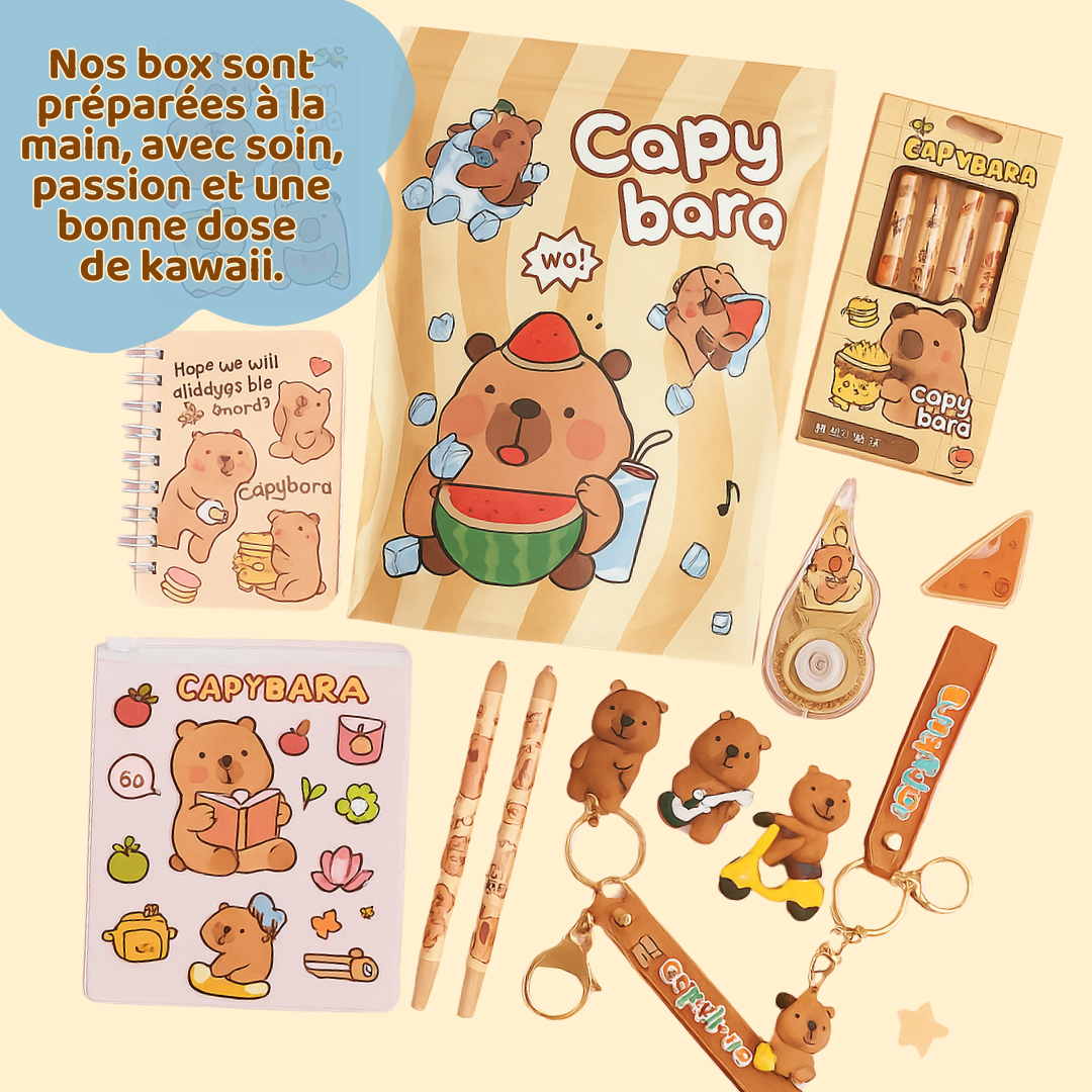 CapyBox - La première boîte mystère Kawaii 100% Capybara